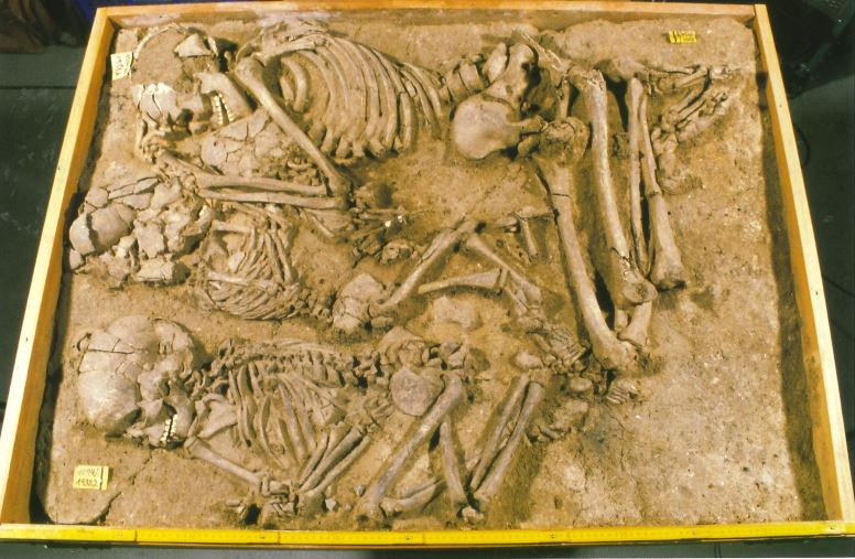 Ausgegrabene Knochen von Menschen. Die Knochen sind über 3 Tausend Jahre alt.